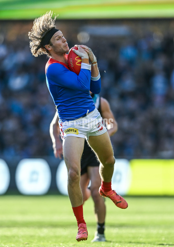 AFL 2025 Round 14 - Port Adelaide v Melbourne - A-60063536