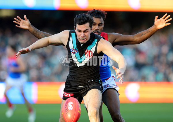 AFL 2025 Round 14 - Port Adelaide v Melbourne - A-60063547