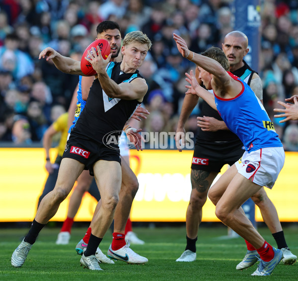 AFL 2025 Round 14 - Port Adelaide v Melbourne - A-60064499