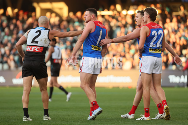 AFL 2025 Round 14 - Port Adelaide v Melbourne - A-60065938