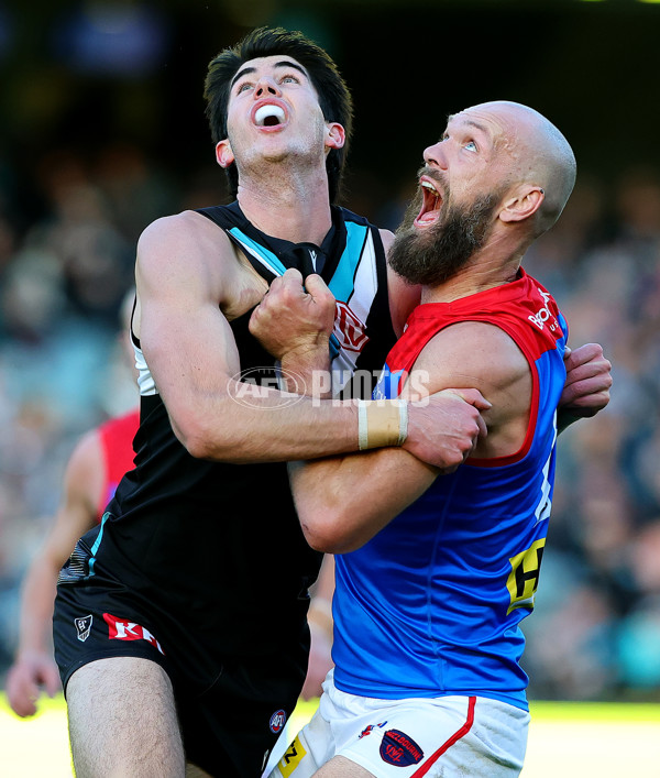 AFL 2025 Round 14 - Port Adelaide v Melbourne - A-60065946