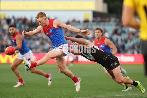 AFL 2025 Round 14 - Port Adelaide v Melbourne - A-60065983