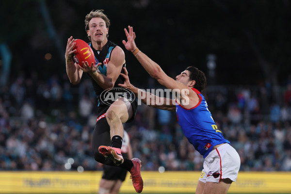 AFL 2025 Round 14 - Port Adelaide v Melbourne - A-60065999