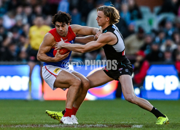 AFL 2025 Round 14 - Port Adelaide v Melbourne - A-60066733