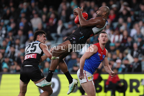 AFL 2025 Round 14 - Port Adelaide v Melbourne - A-60066812
