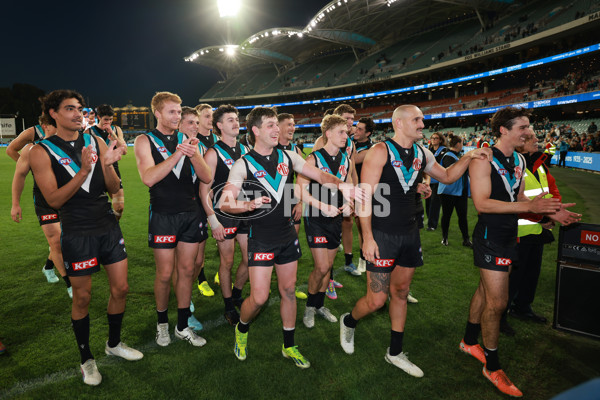 AFL 2025 Round 14 - Port Adelaide v Melbourne - A-60070999