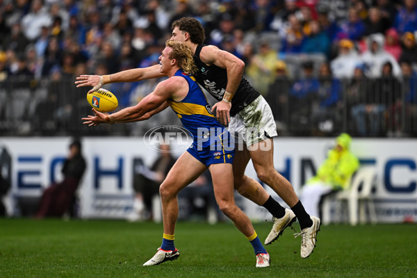 AFL 2025 Round 14 - West Coast v Carlton - A-60071045