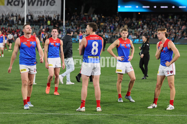 AFL 2025 Round 14 - Port Adelaide v Melbourne - A-60071615
