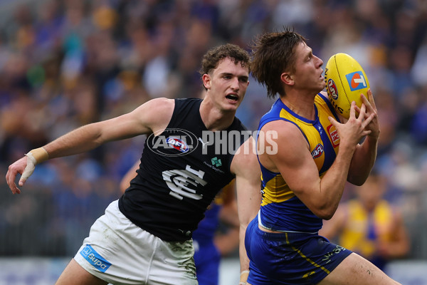 AFL 2025 Round 14 - West Coast v Carlton - A-60073524