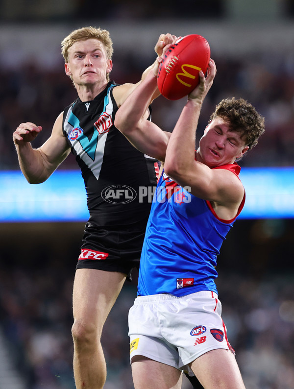 AFL 2025 Round 14 - Port Adelaide v Melbourne - A-60073569