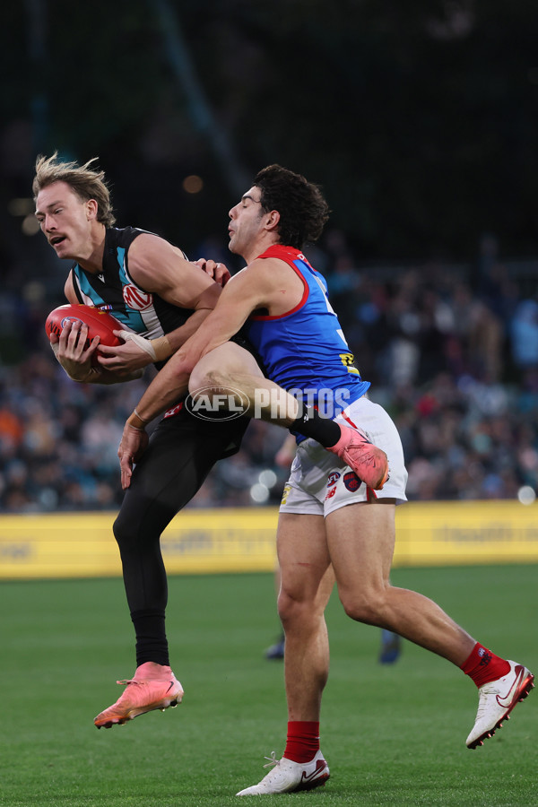 AFL 2025 Round 14 - Port Adelaide v Melbourne - A-60073584