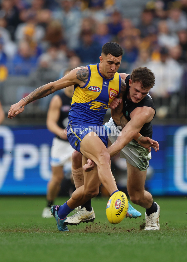 AFL 2025 Round 14 - West Coast v Carlton - A-60073892