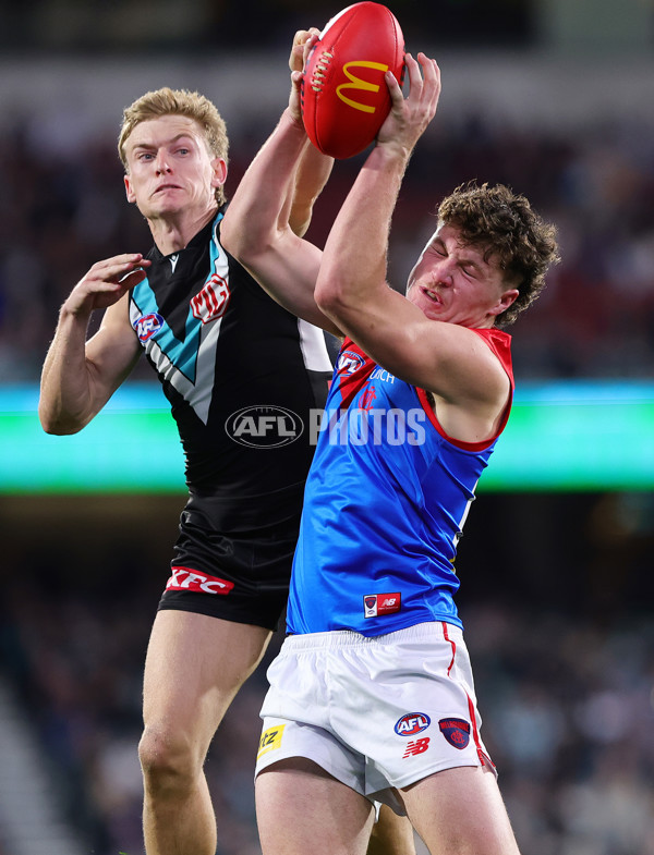 AFL 2025 Round 14 - Port Adelaide v Melbourne - A-60073964