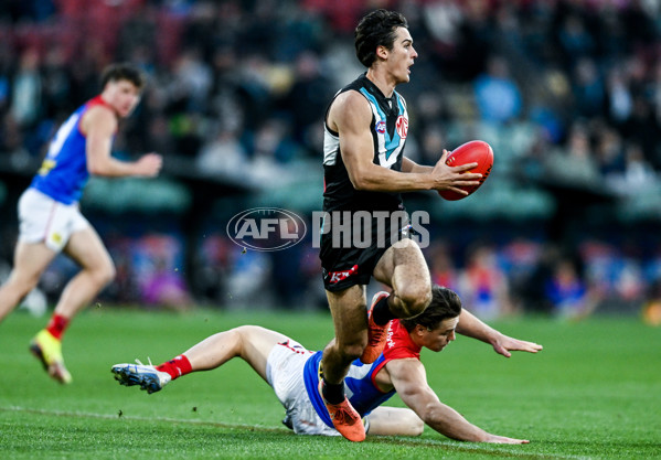 AFL 2025 Round 14 - Port Adelaide v Melbourne - A-60073978