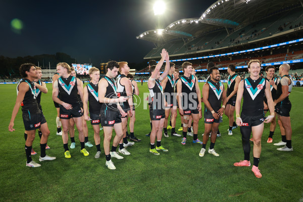 AFL 2025 Round 14 - Port Adelaide v Melbourne - A-60073980