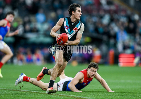AFL 2025 Round 14 - Port Adelaide v Melbourne - A-60073986