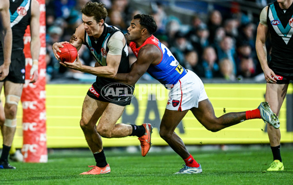 AFL 2025 Round 14 - Port Adelaide v Melbourne - A-60076012