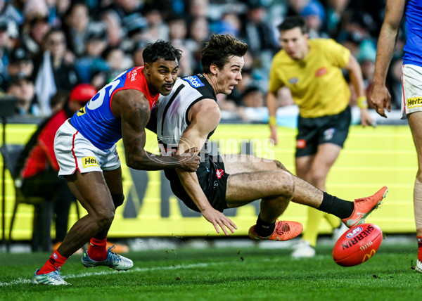 AFL 2025 Round 14 - Port Adelaide v Melbourne - A-60076031