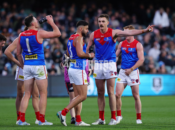 AFL 2025 Round 14 - Port Adelaide v Melbourne - A-60076413