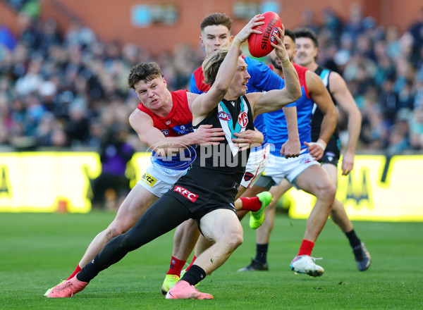 AFL 2025 Round 14 - Port Adelaide v Melbourne - A-60078475