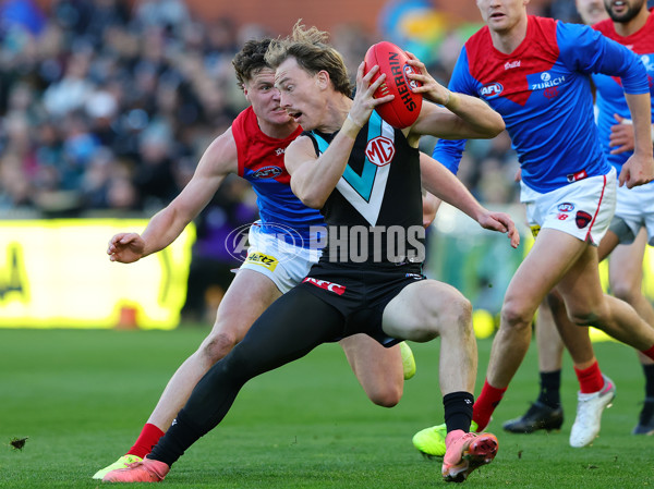 AFL 2025 Round 14 - Port Adelaide v Melbourne - A-60078976