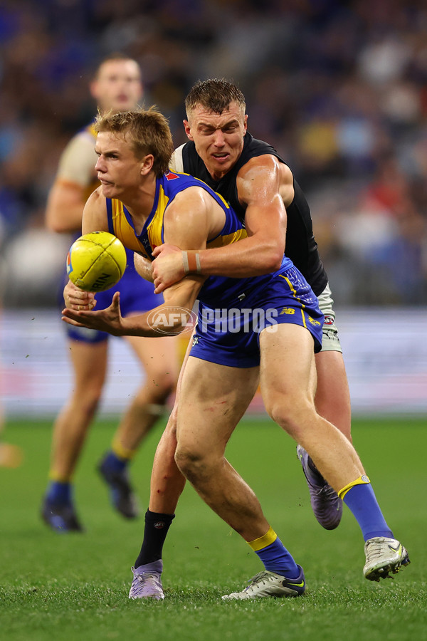 AFL 2025 Round 14 - West Coast v Carlton - A-60078989
