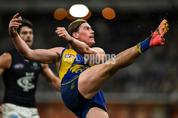 AFL 2025 Round 14 - West Coast v Carlton - A-60081075