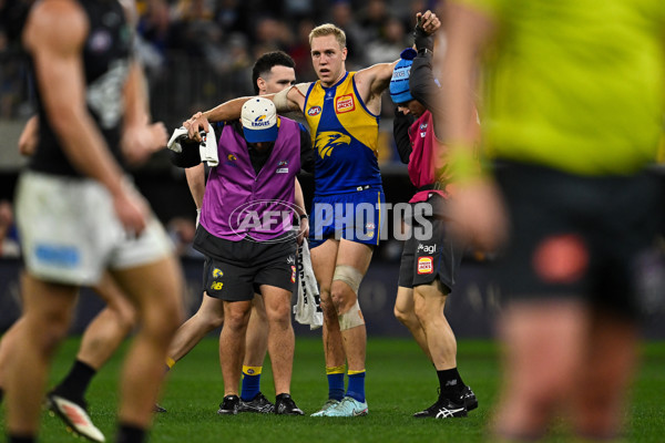 AFL 2025 Round 14 - West Coast v Carlton - A-60081088