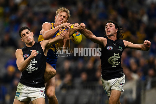 AFL 2025 Round 14 - West Coast v Carlton - A-60081608
