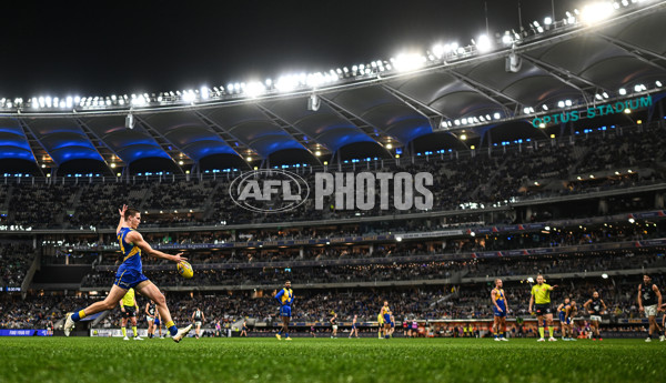 AFL 2025 Round 14 - West Coast v Carlton - A-60083231
