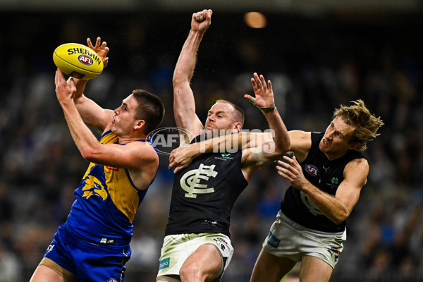 AFL 2025 Round 14 - West Coast v Carlton - A-60083237