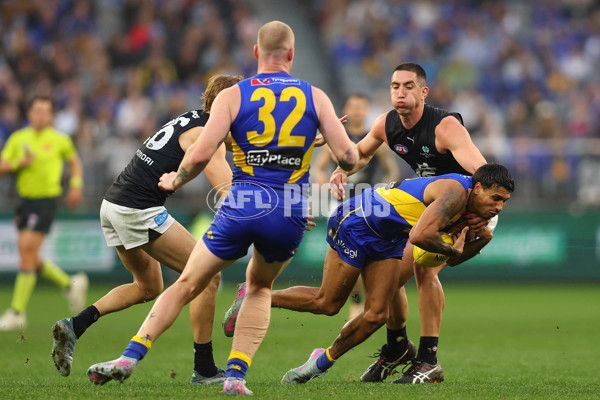 AFL 2025 Round 14 - West Coast v Carlton - A-60086698