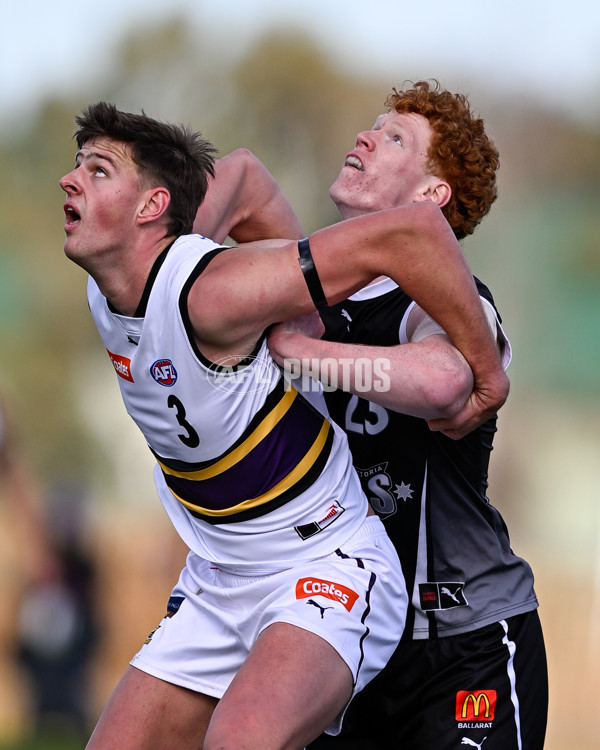 Coates League Boys 2025 Round 11 - GWV Rebels v Murray Bushrangers - A-60087687