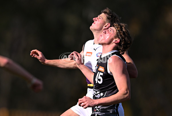 Coates League Boys 2025 Round 11 - GWV Rebels v Murray Bushrangers - A-60087722