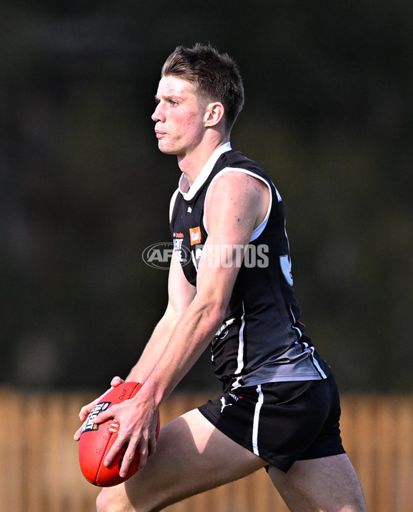 Coates League Boys 2025 Round 11 - GWV Rebels v Murray Bushrangers - A-60088878