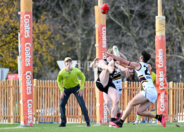 Coates League Boys 2025 Round 11 - GWV Rebels v Murray Bushrangers - A-60088907