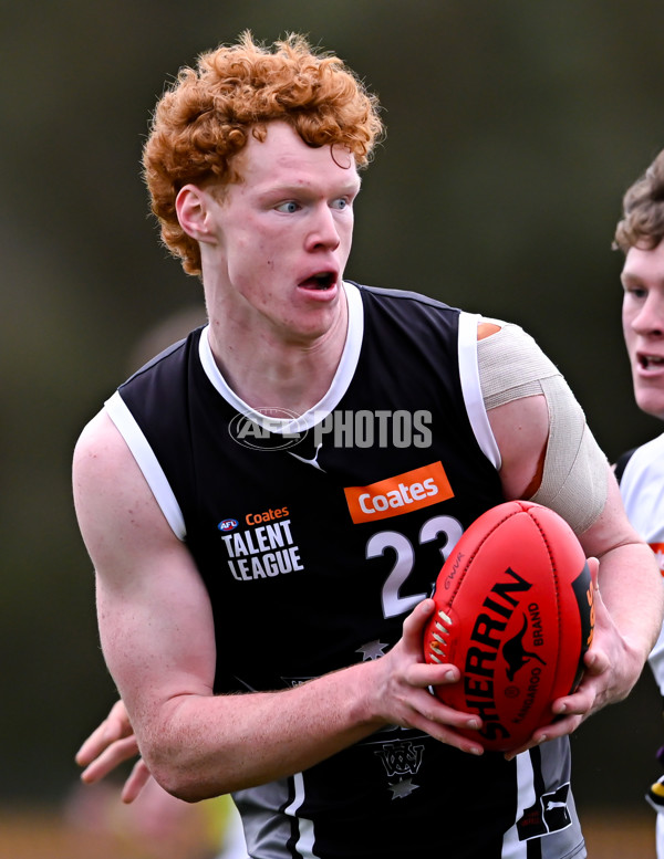 Coates League Boys 2025 Round 11 - GWV Rebels v Murray Bushrangers - A-60088918