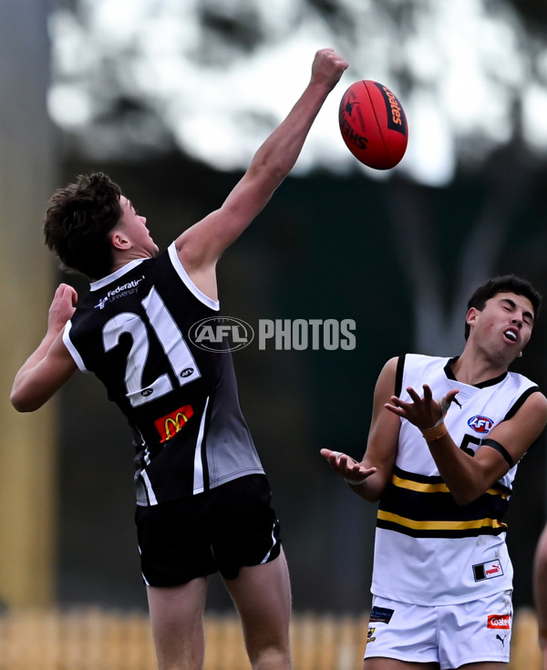 Coates League Boys 2025 Round 11 - GWV Rebels v Murray Bushrangers - A-60090785