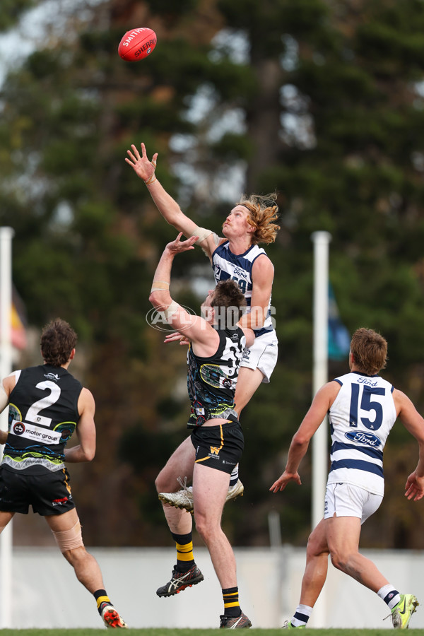 VFL 2025 Round 12 - Werribee v Geelong Cats - A-60090831