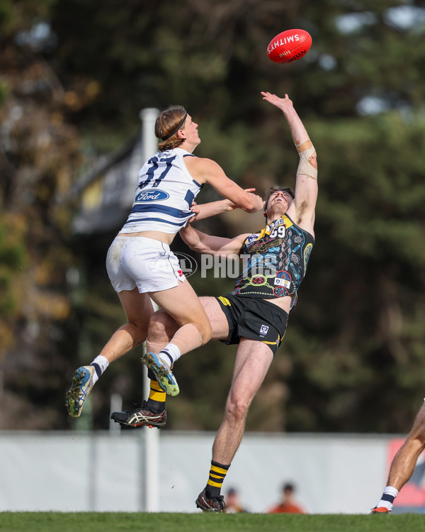 VFL 2025 Round 12 - Werribee v Geelong Cats - A-60090834