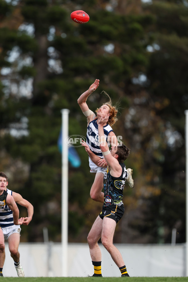 VFL 2025 Round 12 - Werribee v Geelong Cats - A-60090838