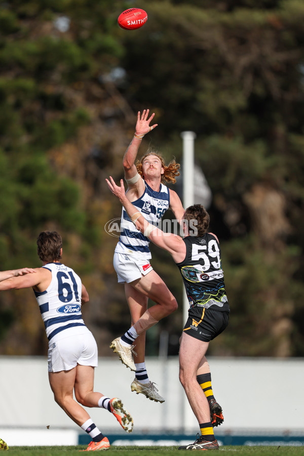 VFL 2025 Round 12 - Werribee v Geelong Cats - A-60090839