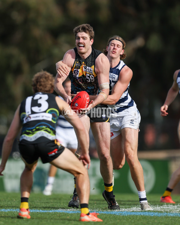 VFL 2025 Round 12 - Werribee v Geelong Cats - A-60092082