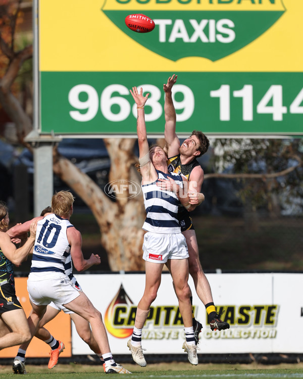 VFL 2025 Round 12 - Werribee v Geelong Cats - A-60092084