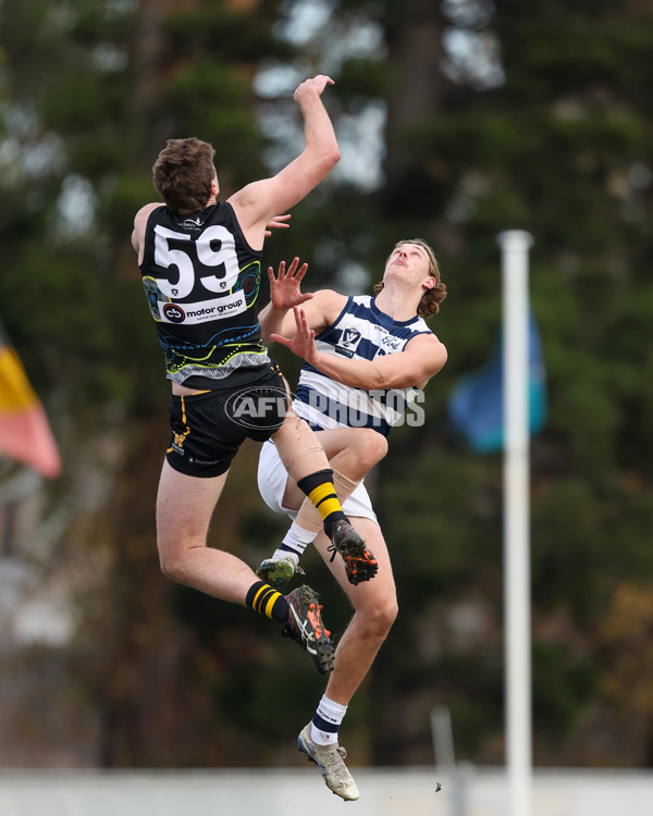 VFL 2025 Round 12 - Werribee v Geelong Cats - A-60092090