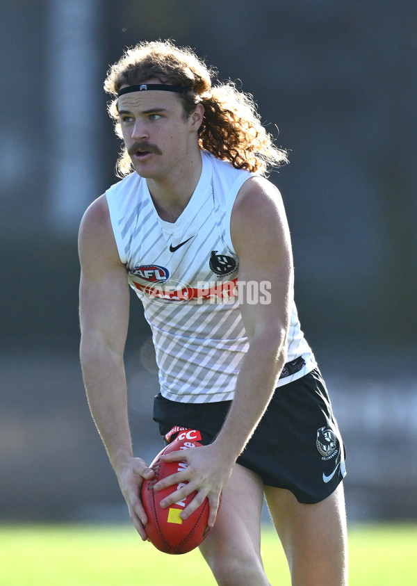 AFL 2025 Training - Collingwood 170625 - A-60092127