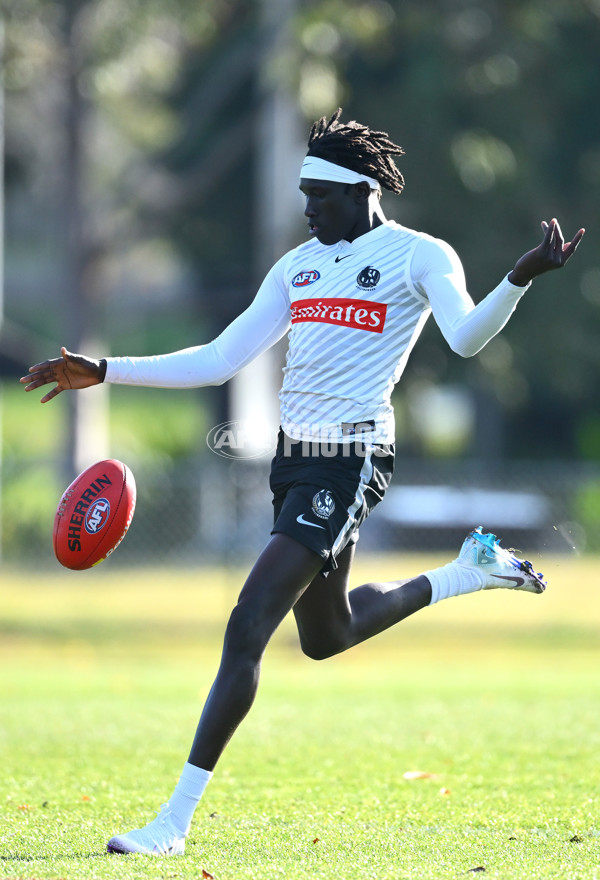 AFL 2025 Training - Collingwood 170625 - A-60092135