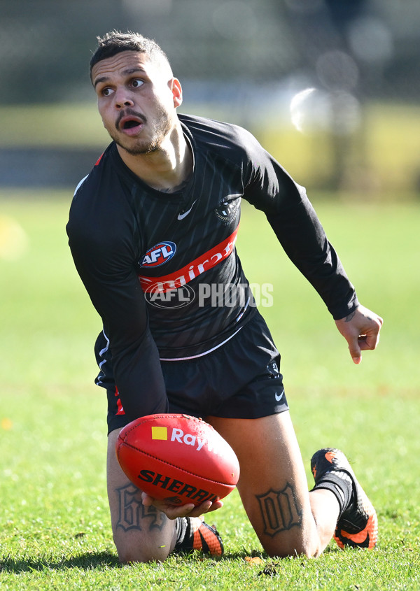 AFL 2025 Training - Collingwood 170625 - A-60092148