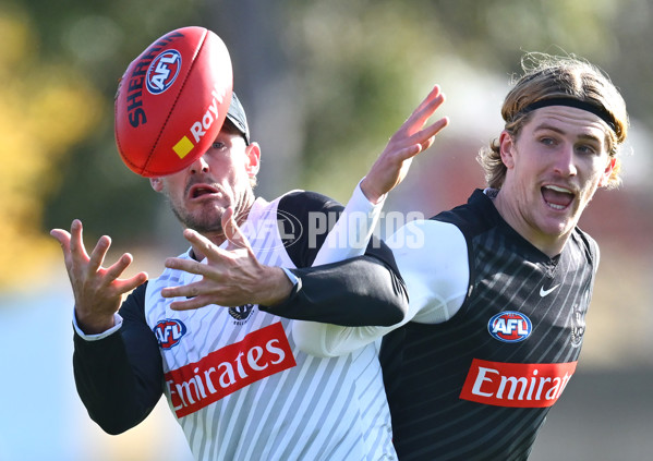 AFL 2025 Training - Collingwood 170625 - A-60093932