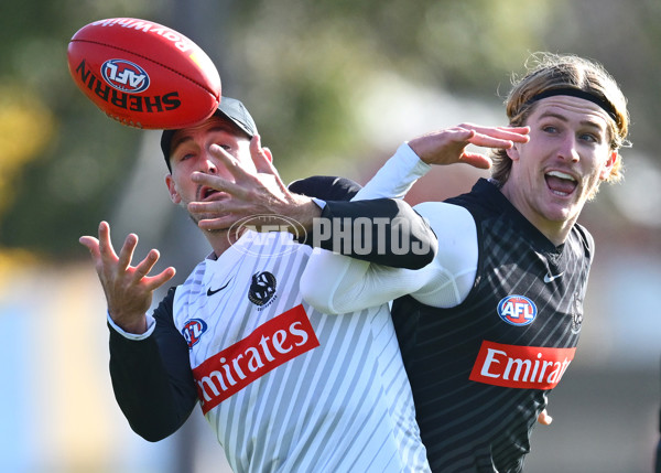 AFL 2025 Training - Collingwood 170625 - A-60093934